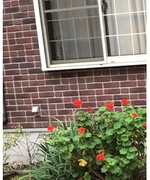 no brand | ネックレス