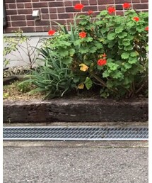 UNIQLO | その他パンツ