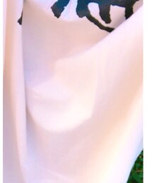 STUSSY | Tシャツ/カットソー