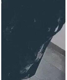 LAD MUSICIAN | トートバッグ