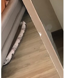 天气很好 | その他