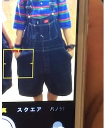Dickies | サロペット/オーバーオール