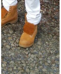 Timberland | スニーカー