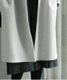 HARYU | サイドプリーツガウチョパンツ(パンツ)