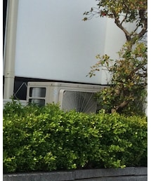 KNOT | ニット/セーター