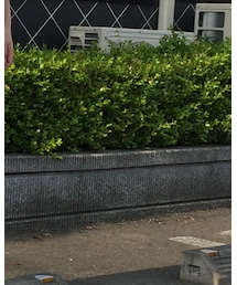 POU DOU DOU | スカート