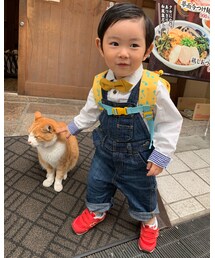 Handmade | オーダーメイトで作ってもらった蝶ネクタイ、とてもカッコいい❣️(蝶ネクタイ)