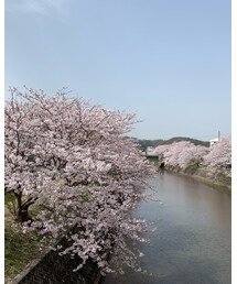🌸近所🌸 | フレグランスミスト
