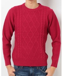 URBAN RESEARCH | ケーブル編みクルーネックニット (ニット/セーター)