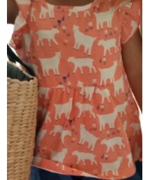 私のﾊﾞｯｸﾞを強奪し、ご満悦 | かごバッグ