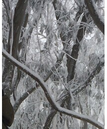 Kastane | ニットキャップ/ビーニー