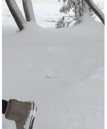 American Eagle | デニムパンツ