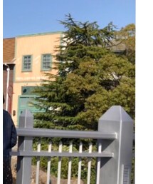 ユニバ！🐶 | その他