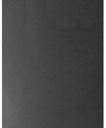 Champion | スウェット