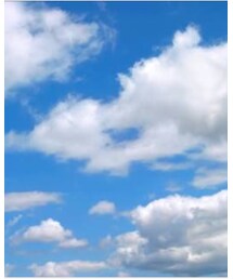 お散歩日和 | その他