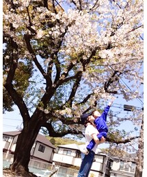 桜はらはら🌸息子大はしゃぎ🌸 | その他