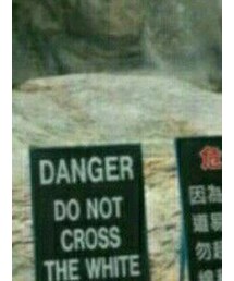 UNIQLO | シャツ/ブラウス