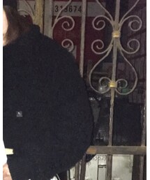 ZARA | その他アウター