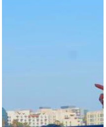 DIESEL | Tシャツ/カットソー