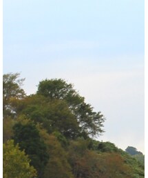 GU | ダウンベスト