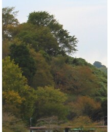 GLOBAL WORK | デニムパンツ