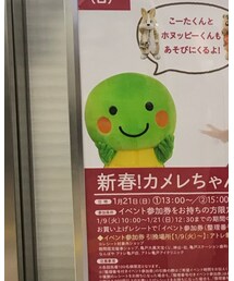 カメレちゃん | その他