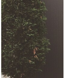 mina perhonen | ダウンベスト