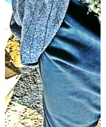 Niko and… | パンツ