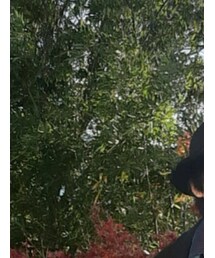 BED J.W. FORD | ハット