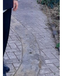 BED J.W. FORD | ローファー