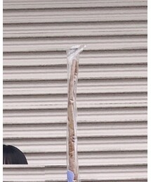 ごぼう | アクセサリー