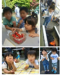 BBQ | ラッピングキット