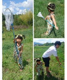 虫とり | ラッピングキット