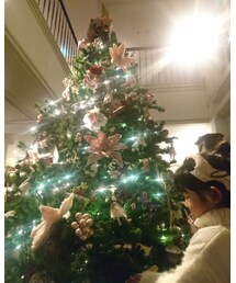 ✨🎄✨ | ラッピングキット