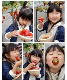 いちご狩り🍓 | ラッピングキット