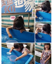 金魚すくい道場 | ラッピングキット