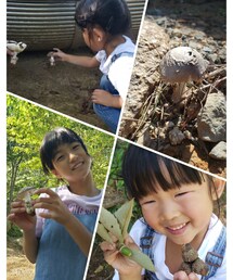 小さい秋み～つけた🍄 | ラッピングキット