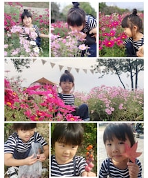 馬見丘陵公園🌸 | ラッピングキット