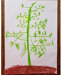 トマトの花🌼 | フォトフレーム