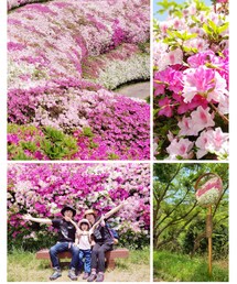 つつじ🌸満開 | ラッピングキット