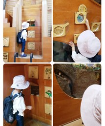 虫の博物館🔍 | ラッピングキット