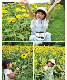 ひまわり畑🌻 | ラッピングキット