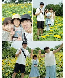 ひまわり畑🌻 | ラッピングキット