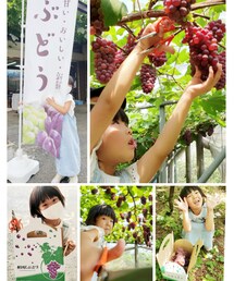 ぶどう狩り🍇 | ラッピングキット