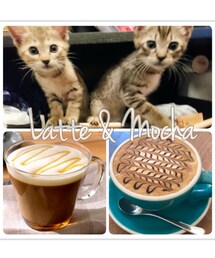 Latte & Mocha | ラッピングキット