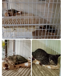 お気に入りの場所🧦 | ラッピングキット