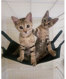 お気に入りの場所🛏️ | ラッピングキット