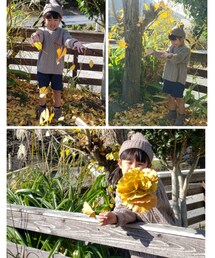 イチョウ🍁 | ラッピングキット
