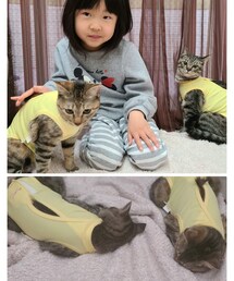 ラテ&モカ | ペットグッズ