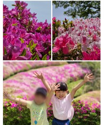 つつじ園 | ラッピングキット